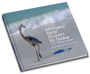 Heronymus Heron Discovers His Shadow Book